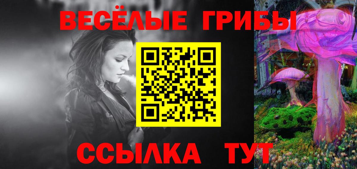 Псилоцибиновые грибы Cubensis  Вход с VPN  Барнаул 
